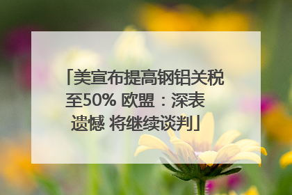 美宣布提高钢铝关税至50% 欧盟：深表遗憾 将继续谈判