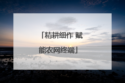 精耕细作 赋能农网终端