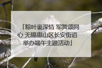 粽叶裹深情 军舞颂同心 无锡惠山区长安街道举办端午主题活动