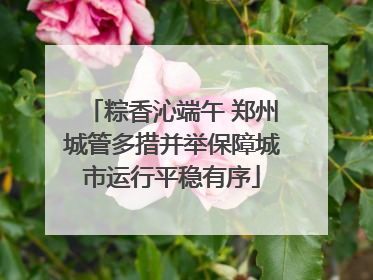 粽香沁端午 郑州城管多措并举保障城市运行平稳有序