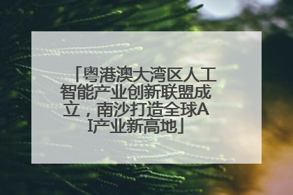 粤港澳大湾区人工智能产业创新联盟成立，南沙打造全球AI产业新高地