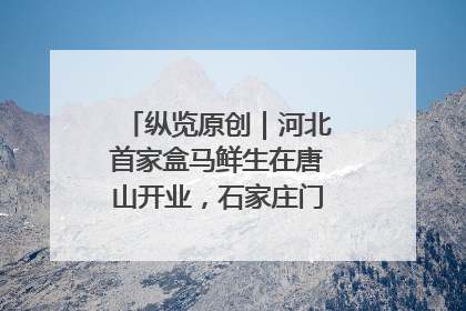 纵览原创｜河北首家盒马鲜生在唐山开业，石家庄门店预计8月开业