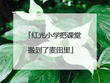 红光小学把课堂搬到了麦田里