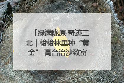 绿满陇原·奇迹三北｜梭梭林里种“黄金” 高台治沙致富很“从容”
