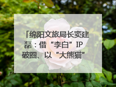 绵阳文旅局长窦建磊：借“李白”IP破圈、以“大熊猫”引流 依托科技优势绽放城市文旅魅力｜文旅局长说