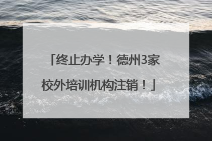 终止办学！德州3家校外培训机构注销！