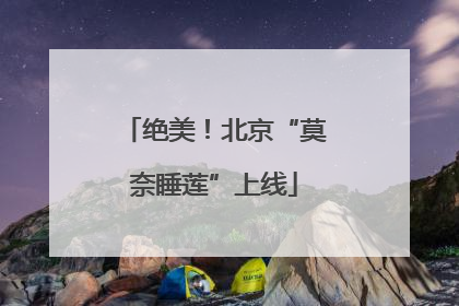 绝美！北京“莫奈睡莲”上线