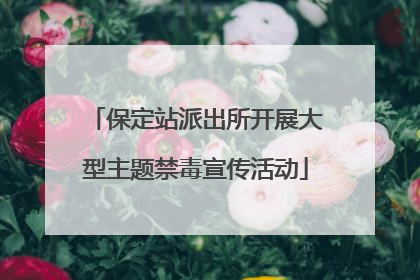 保定站派出所开展大型主题禁毒宣传活动