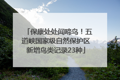 保康处处闻啼鸟！五道峡国家级自然保护区新增鸟类记录23种