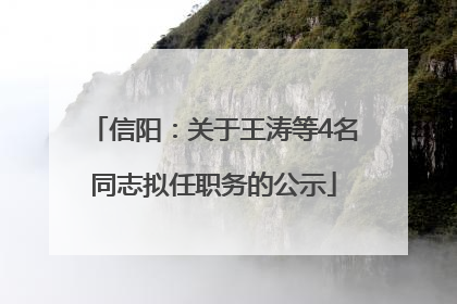 信阳：关于王涛等4名同志拟任职务的公示