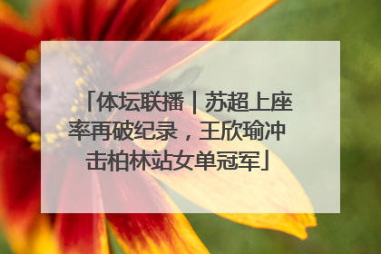 体坛联播｜苏超上座率再破纪录，王欣瑜冲击柏林站女单冠军