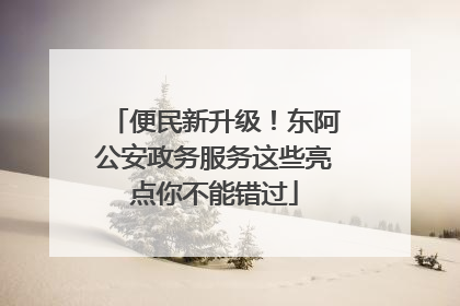 便民新升级！东阿公安政务服务这些亮点你不能错过