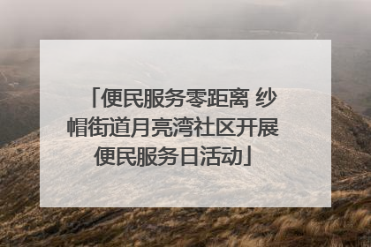 便民服务零距离 纱帽街道月亮湾社区开展便民服务日活动