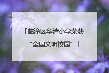 临潼区华清小学荣获“全国文明校园”