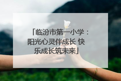 临汾市第一小学：阳光心灵伴成长 快乐成长筑未来