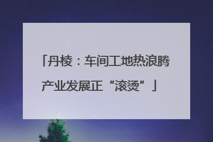 丹棱：车间工地热浪腾产业发展正“滚烫”