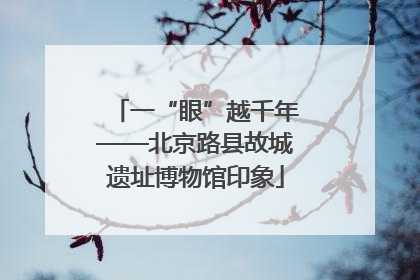一“眼”越千年——北京路县故城遗址博物馆印象