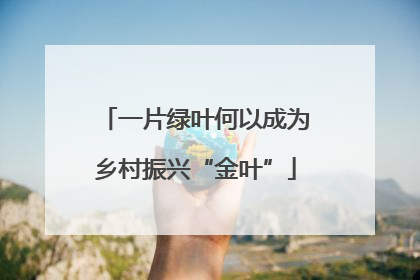 一片绿叶何以成为乡村振兴“金叶”