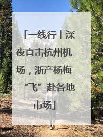 一线行丨深夜直击杭州机场，浙产杨梅“飞”赴各地市场