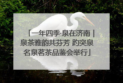 一年四季·泉在济南｜泉茶雅韵共芬芳 趵突泉名泉茗茶品鉴会举行