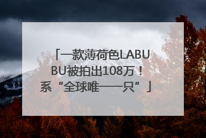 一款薄荷色LABUBU被拍出108万！系“全球唯一一只”