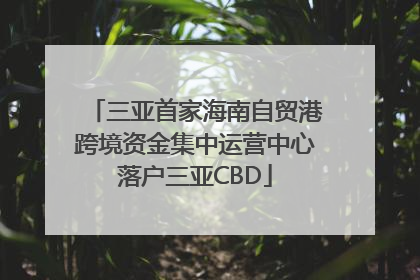 三亚首家海南自贸港跨境资金集中运营中心落户三亚CBD