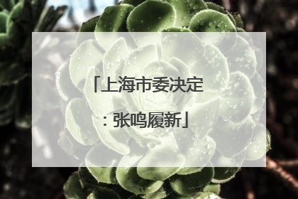 上海市委决定：张鸣履新