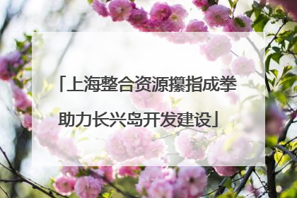 上海整合资源攥指成拳助力长兴岛开发建设