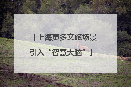上海更多文旅场景引入“智慧大脑”