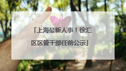 上海最新人事！徐汇区区管干部任前公示