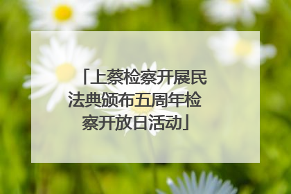 上蔡检察开展民法典颁布五周年检察开放日活动