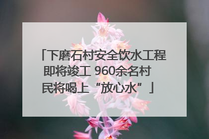 下磨石村安全饮水工程即将竣工 960余名村民将喝上“放心水”