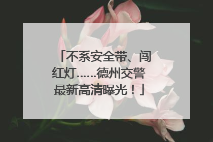 不系安全带、闯红灯……德州交警最新高清曝光！