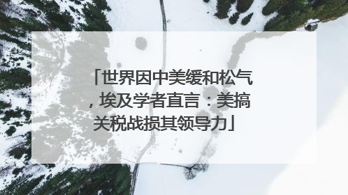 世界因中美缓和松气，埃及学者直言：美搞关税战损其领导力