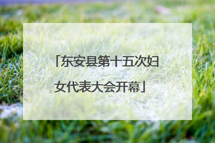 东安县第十五次妇女代表大会开幕