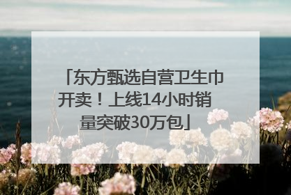 东方甄选自营卫生巾开卖！上线14小时销量突破30万包