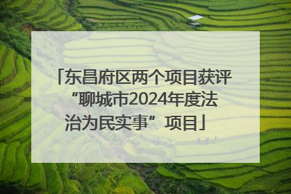 东昌府区两个项目获评“聊城市2024年度法治为民实事”项目