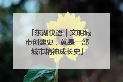 东湖快语｜文明城市创建史，就是一部城市精神成长史