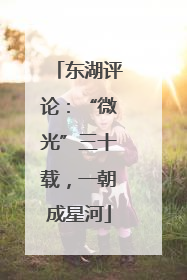 东湖评论：“微光”三十载，一朝成星河