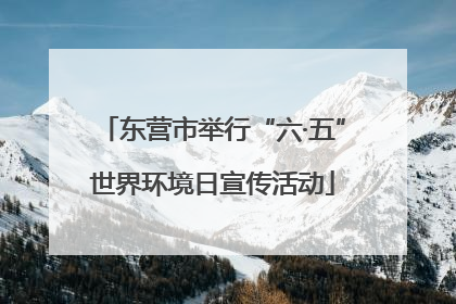 东营市举行“六·五”世界环境日宣传活动