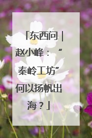 东西问｜赵小峰：“秦岭工坊”何以扬帆出海？