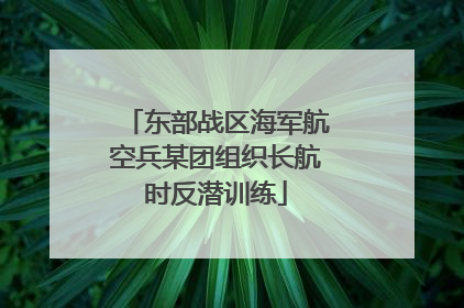 东部战区海军航空兵某团组织长航时反潜训练
