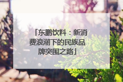 东鹏饮料：新消费浪潮下的民族品牌突围之路