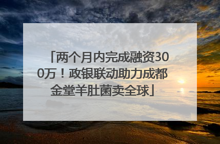 两个月内完成融资300万！政银联动助力成都金堂羊肚菌卖全球