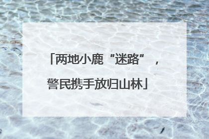 两地小鹿“迷路”，警民携手放归山林