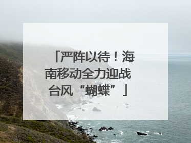 严阵以待！海南移动全力迎战台风“蝴蝶”