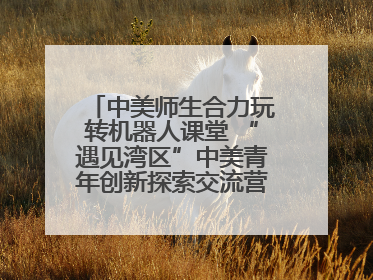 中美师生合力玩转机器人课堂 “遇见湾区”中美青年创新探索交流营在深圳开营