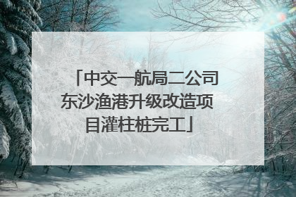 中交一航局二公司东沙渔港升级改造项目灌柱桩完工