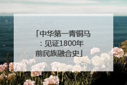 中华第一青铜马：见证1800年前民族融合史