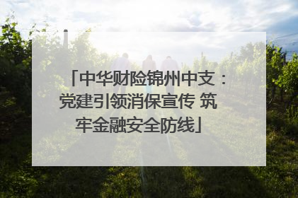 中华财险锦州中支：党建引领消保宣传 筑牢金融安全防线